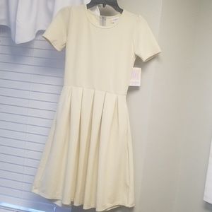 NWT lularoe amelia xs